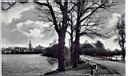 Elk - View from behind the castle, 1939.