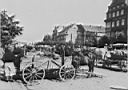 Elk - Market at the marketplace